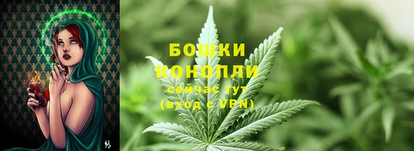 PSILOCYBIN Лагань