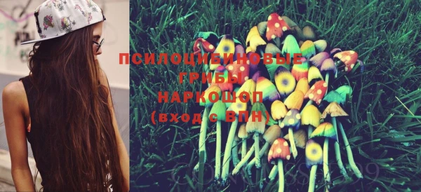 мяу мяу кристалл Ладушкин