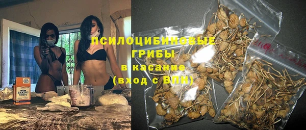 PSILOCYBIN Лагань