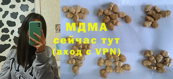 PSILOCYBIN Лагань