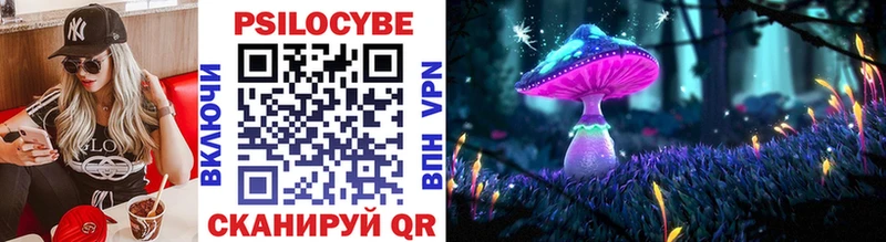 Псилоцибиновые грибы прущие грибы  Купить где  Кисловодск 