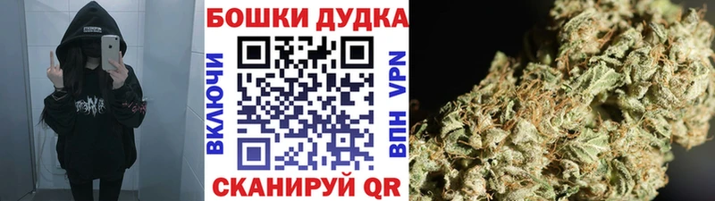 Марихуана SATIVA & INDICA  Купить закладки  Кисловодск 